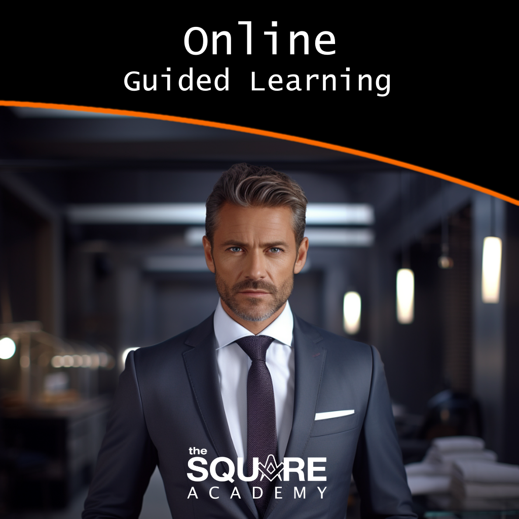 Online Guided Learning
